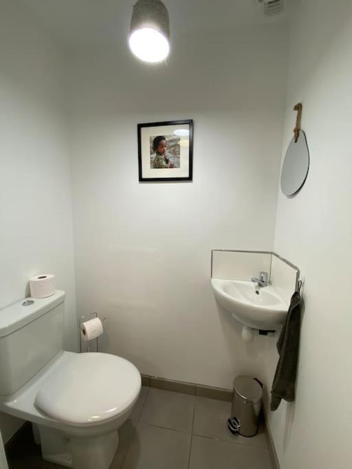 Au 154 Bis - Bel Appartement - Le Jardin 敦刻尔克 外观 照片