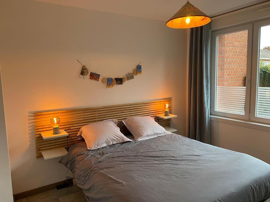 Au 154 Bis - Bel Appartement - Le Jardin 敦刻尔克 外观 照片